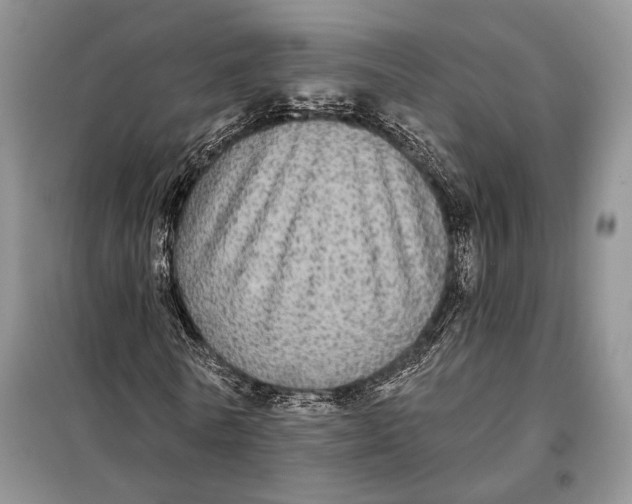 X0000098010770200804181134