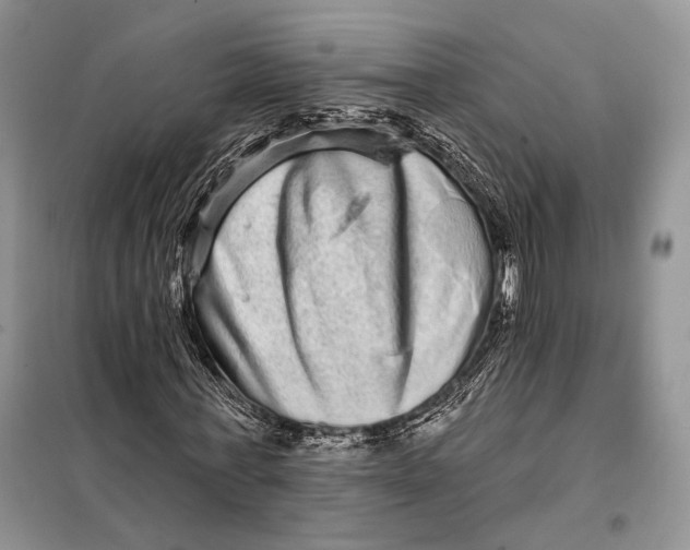 X0000098010771200804181134