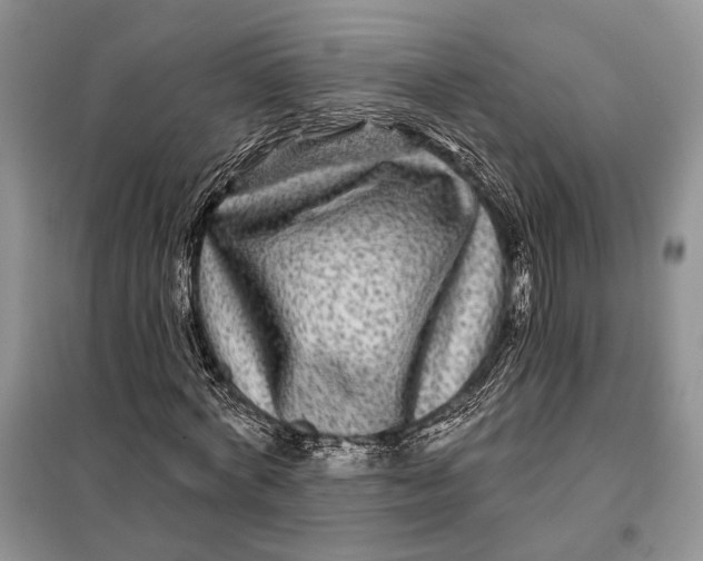 X0000098010772200804181134