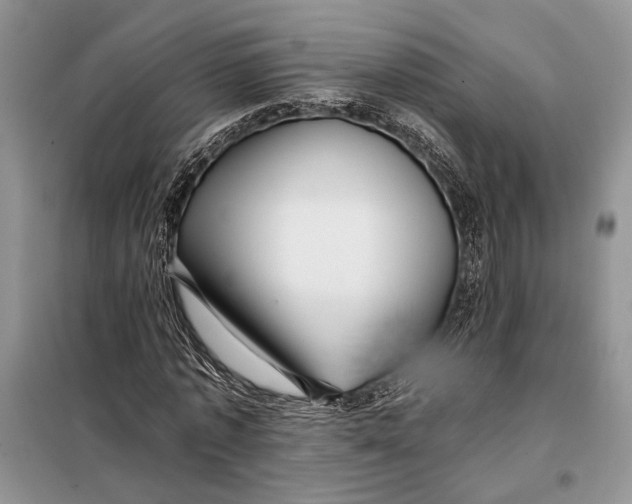 X0000098010773200804181134