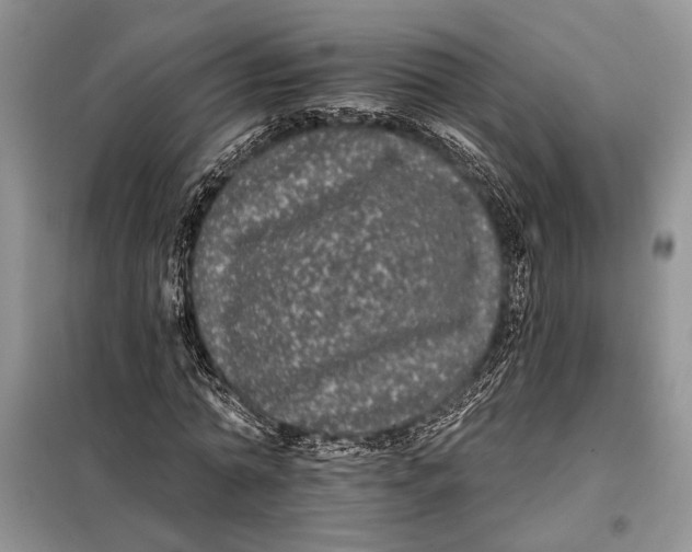 X0000098010774200804181134