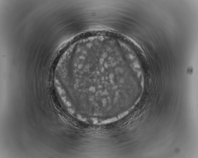 X0000098010775200804181134