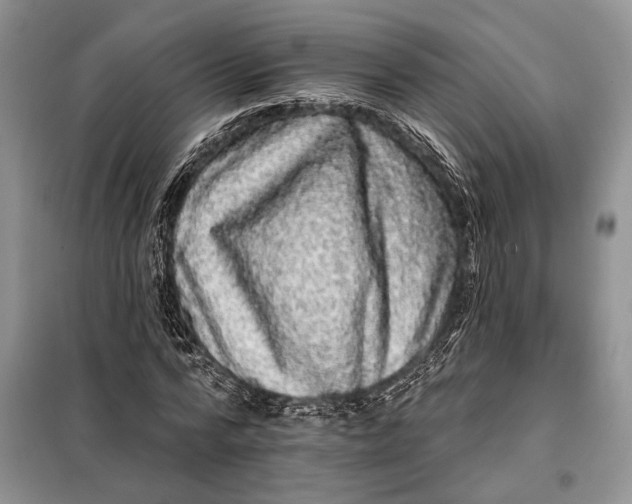 X0000098010776200804181134