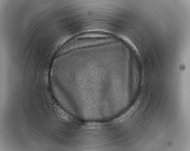 X0000098010777200804181134