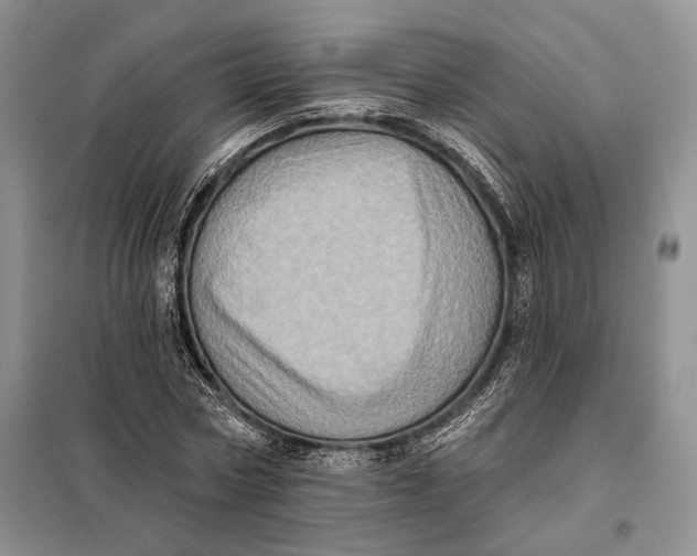 X0000098010778200804181134