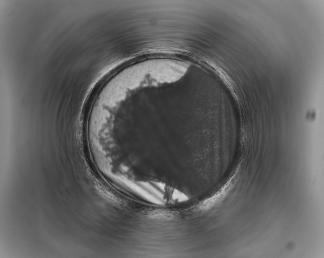 X0000098010779200804181134