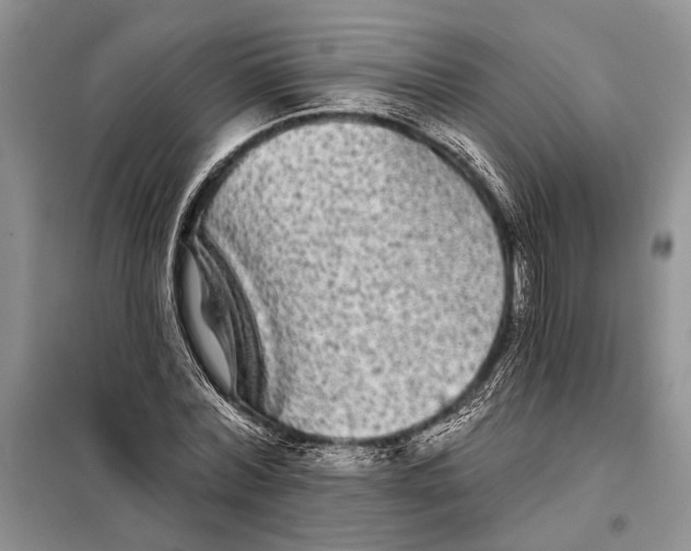 X0000098010780200804181134