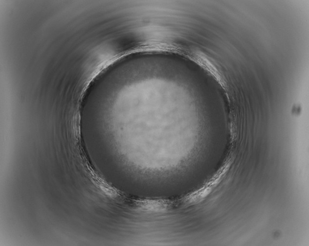 X0000098010781200804181134