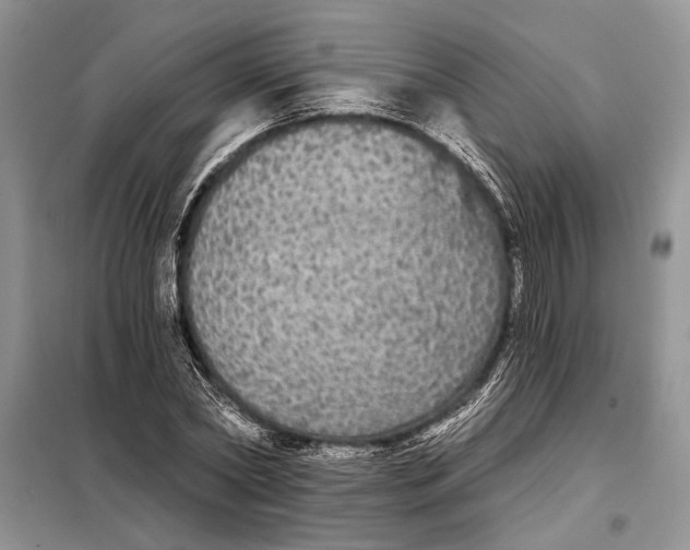 X0000098010782200804181134