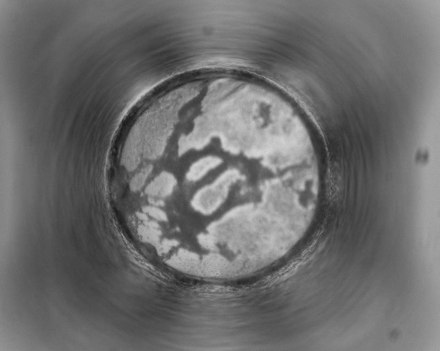 X0000098010783200804181134