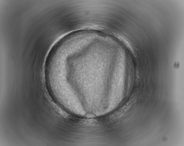 X0000098010784200804181134