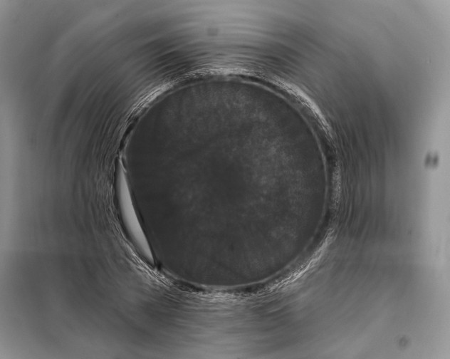 X0000098010785200804181134