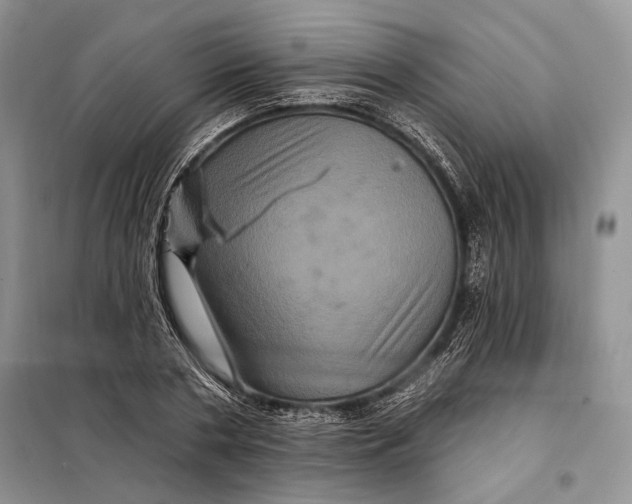 X0000098010786200804181134