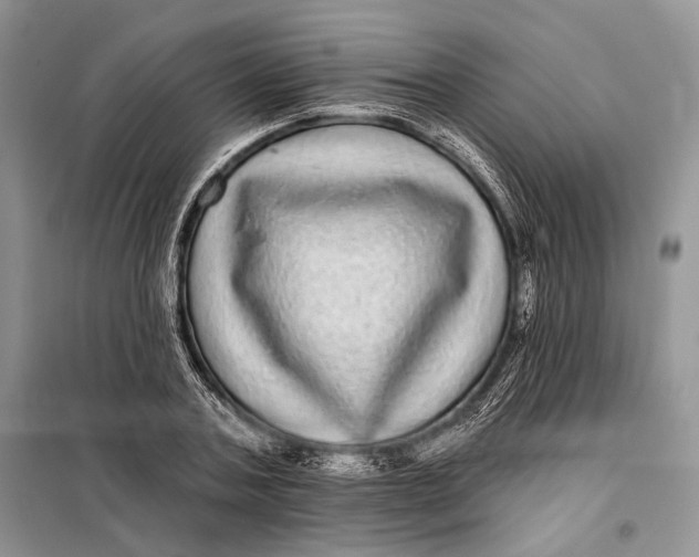 X0000098010787200804181134