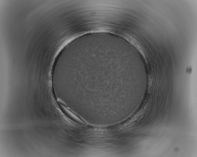 X0000098010789200804181134