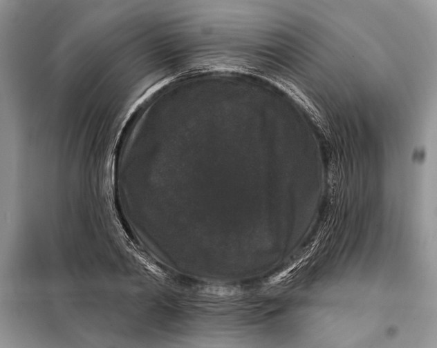 X0000098010790200804181134