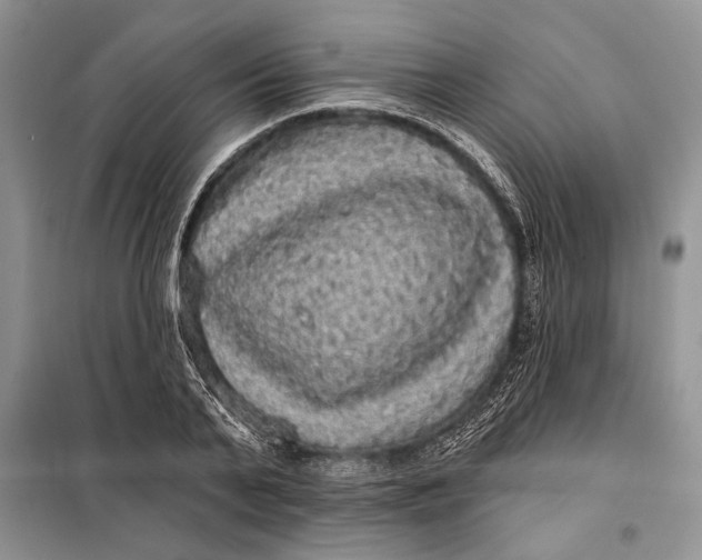 X0000098010791200804181134