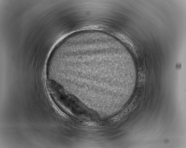 X0000098010792200804181134