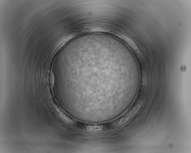 X0000098010793200804181134