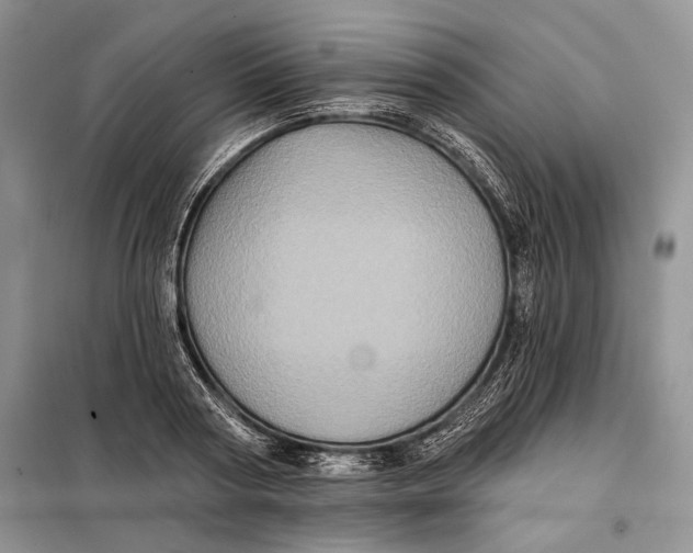 X0000098010794200804181134