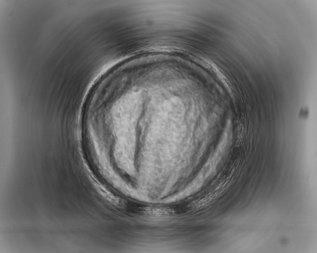 X0000098010795200804181133