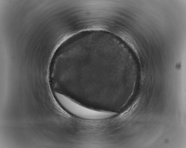 X0000098010797200804181133