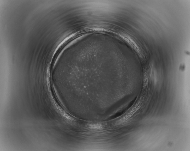 X0000098010798200804181133