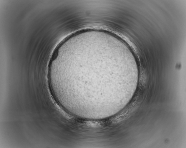 X0000098010799200804181133