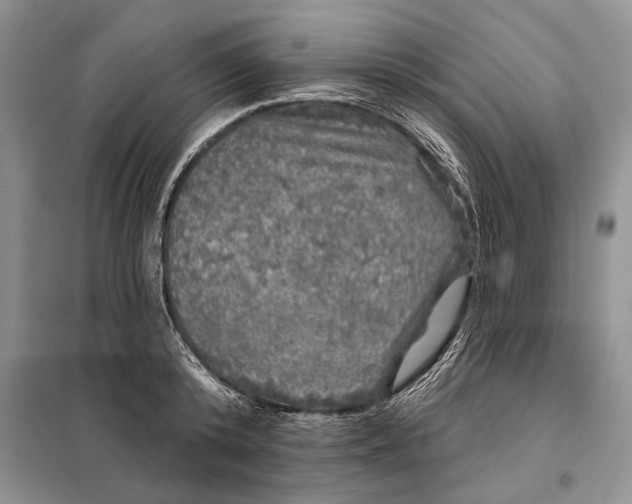 X0000098010800200804181133