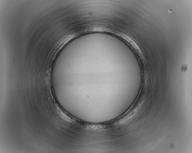 X0000098010801200804181133