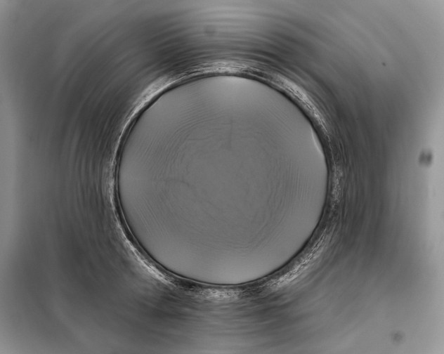 X0000098010802200804181133