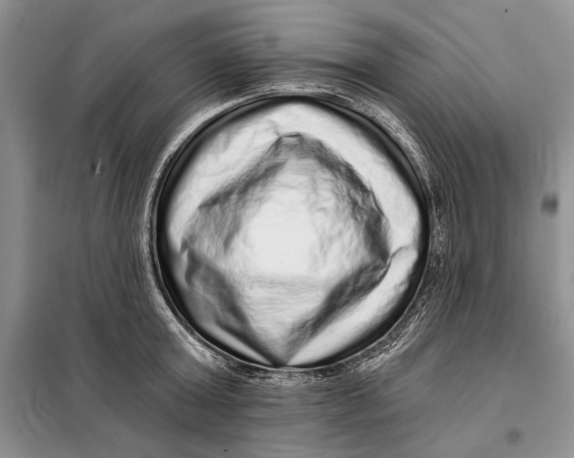 X0000098010803200804181133