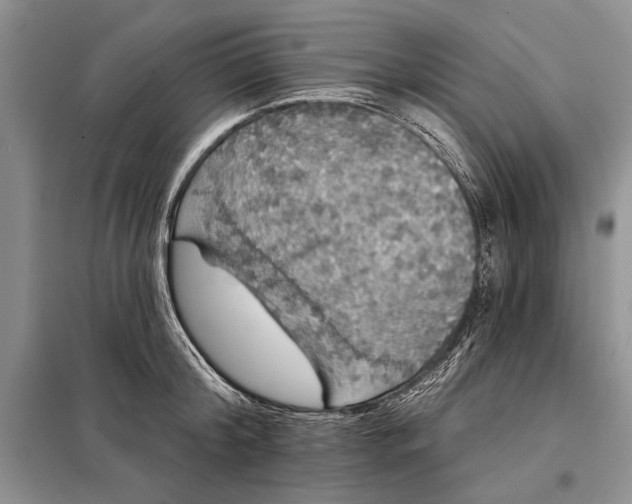 X0000098010804200804181133