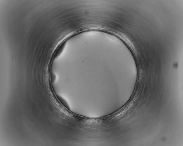 X0000098010806200804181133