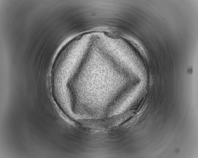 X0000098010808200804181133