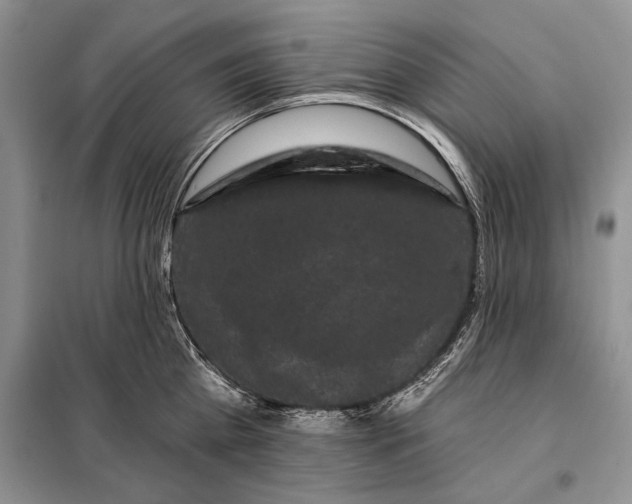 X0000098010809200804181133