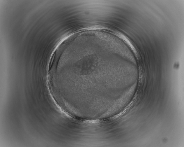 X0000098010810200804181133