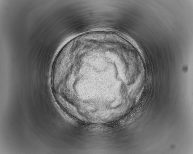 X0000098010811200804181133