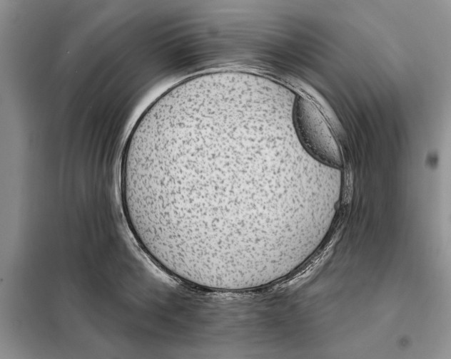 X0000098010812200804181133