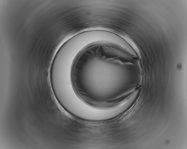 X0000098010813200804181133