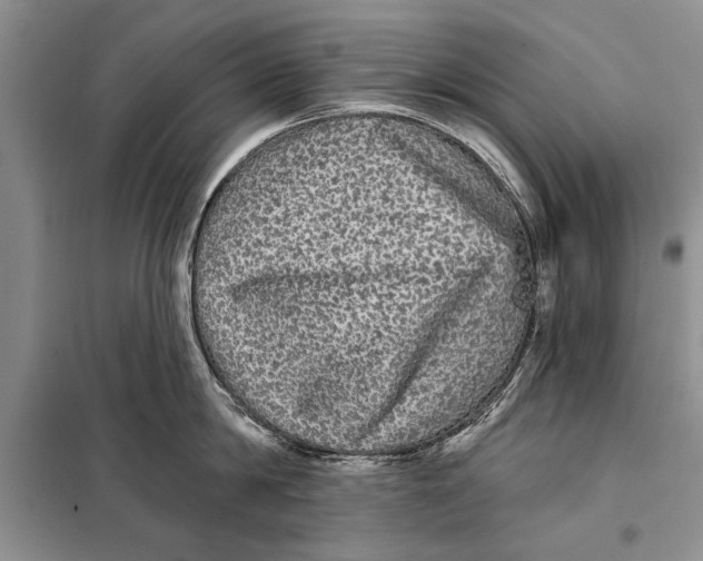 X0000098010814200804181133