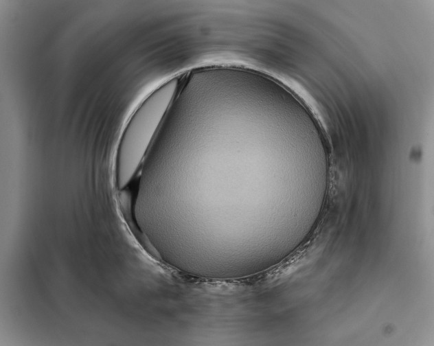 X0000098010815200804181133