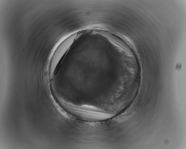 X0000098010816200804181133