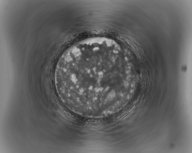 X0000098010817200804181132