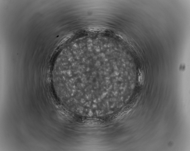 X0000098010819200804181132