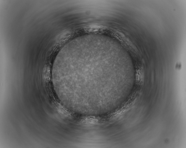 X0000098010820200804181132