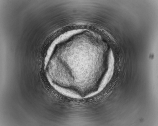 X0000098010821200804181132