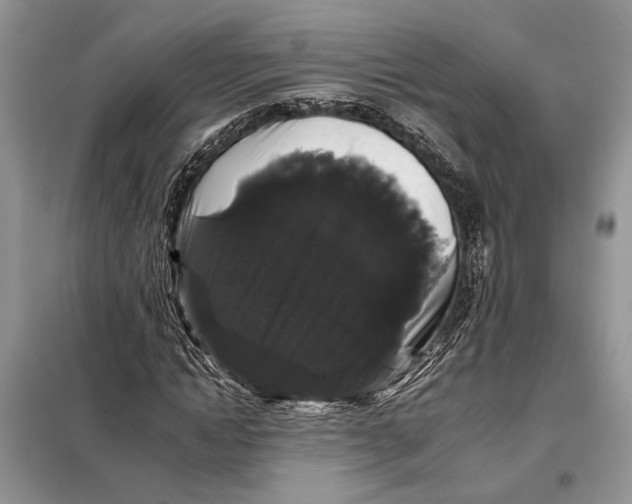 X0000098010822200804181132