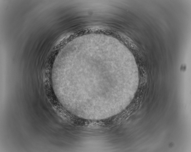 X0000098010824200804181132