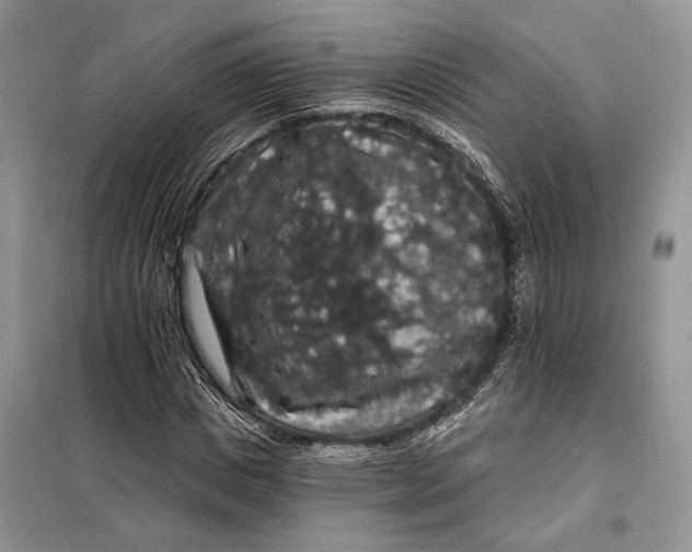 X0000098010825200804181132